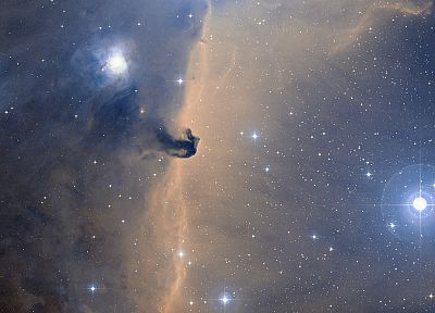 outer space, Horsehead Nebula - duplicate desktop wallpaper