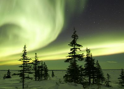 winter, aurora borealis, Canada - random desktop wallpaper