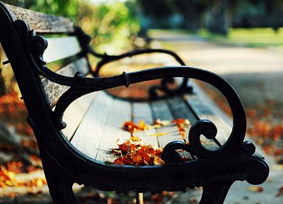 close-up, nature, autumn, leaves, paths, bench, scenic, fallen leaves - related desktop wallpaper