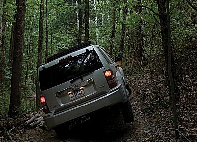 nature, trees, Jeep, SUV - related desktop wallpaper