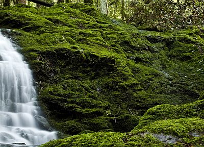 nature, forests, waterfalls, rivers - random desktop wallpaper