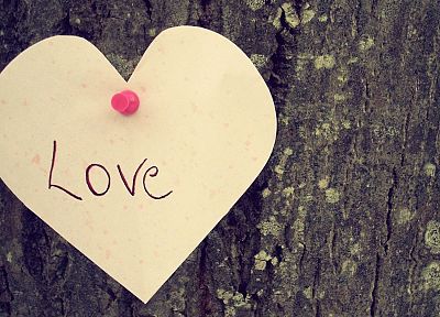 love, trees, hearts - related desktop wallpaper