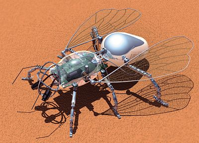 robot, insects - desktop wallpaper