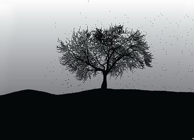 black, trees, white, grayscale - related desktop wallpaper