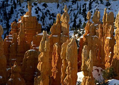 Bryce Canyon, Utah, National Park - duplicate desktop wallpaper