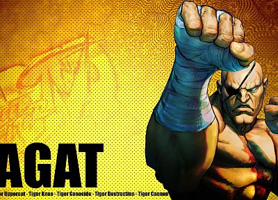 video games, Street Fighter, Sagat, artwork, Super Street Fighter IV Arcade Edition - related desktop wallpaper