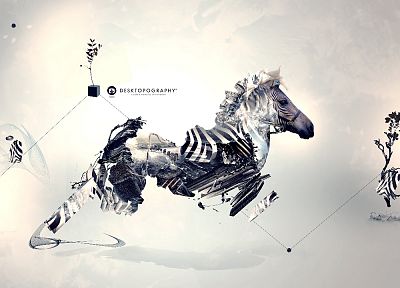 zebras - desktop wallpaper