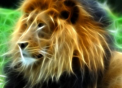 Fractalius, lions - random desktop wallpaper