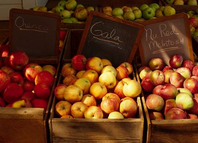 fruits, apples - random desktop wallpaper