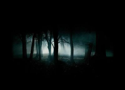 landscapes, dark, forests - desktop wallpaper