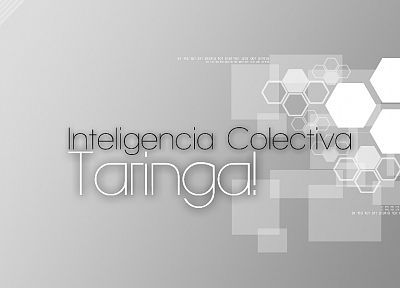 website, Taringa - random desktop wallpaper
