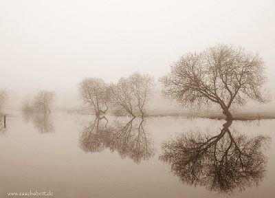 water, fog, reflections - random desktop wallpaper