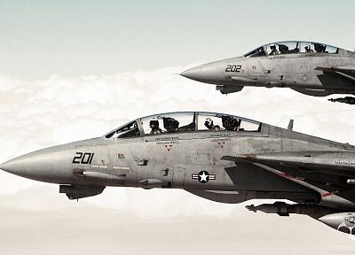 aircraft, planes, F-14 Tomcat - random desktop wallpaper