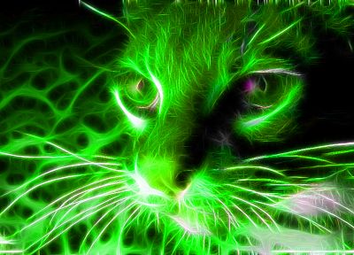 cats, Fractalius - duplicate desktop wallpaper