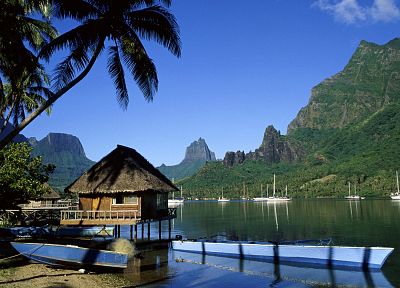 cliffs, boats, French Polynesia, palm trees, Tahiti, huts, Moorea, bay, cooks - random desktop wallpaper