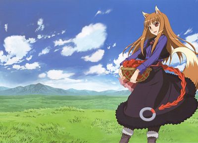 Spice and Wolf, animal ears, Holo The Wise Wolf - duplicate desktop wallpaper