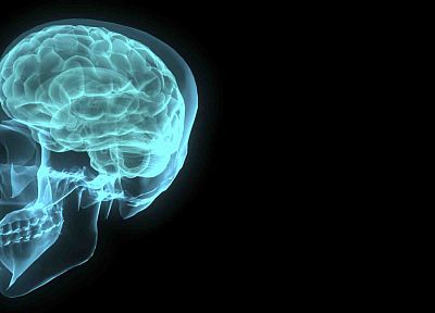 skulls, brain, X-Ray - duplicate desktop wallpaper