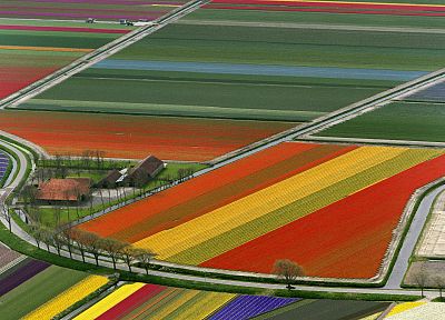 multicolor, fields, roads - random desktop wallpaper