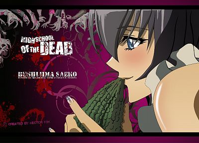 Highschool of the Dead, Busujima Saeko - random desktop wallpaper