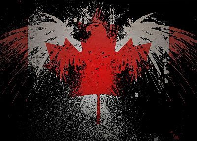 paint, hawk, Canada, Canadian flag - desktop wallpaper
