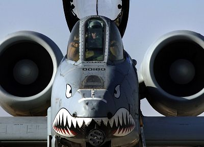 aircraft, military, A-10 Thunderbolt II, nose art - random desktop wallpaper