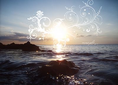 sunrise, shore, sunlight, floral - duplicate desktop wallpaper