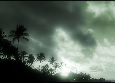 clouds, tropical, palm trees - random desktop wallpaper