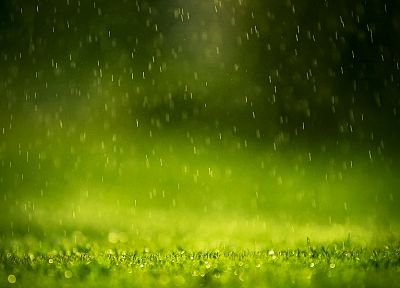 green, rain, water drops - random desktop wallpaper