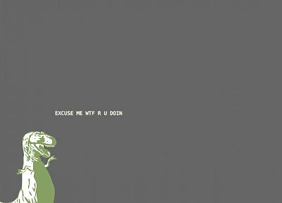 minimalistic, meme, Tyrannosaurus Rex, grey background - desktop wallpaper