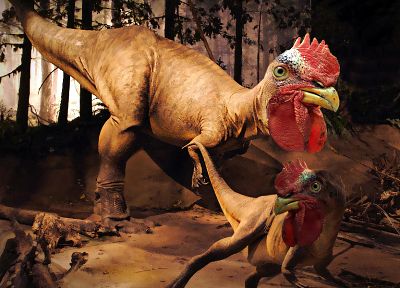 dinosaurs, chickens - random desktop wallpaper