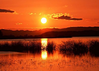 water, sunset, nature, horizon, lakes - desktop wallpaper