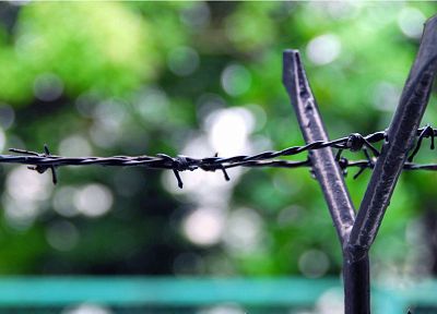 fences, barbed wire - desktop wallpaper