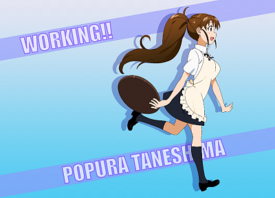 Working!! (Anime), Taneshima Popura - random desktop wallpaper