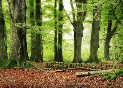 forests, artwork, Desktopography, 3D - related desktop wallpaper