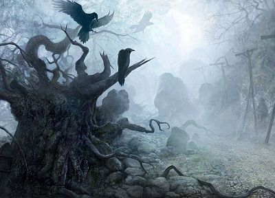creepy, video games, forests, mist, The Witcher - related desktop wallpaper