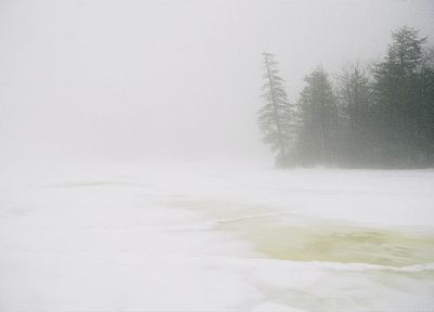winter, fog - desktop wallpaper