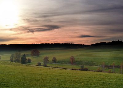 sunset, landscapes, trees, grass, fields, Treecko - duplicate desktop wallpaper