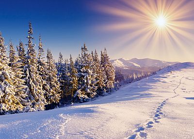 clouds, landscapes, snow, trees, sunlight, sun flare - desktop wallpaper