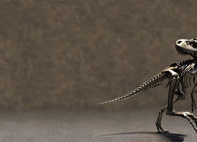 dinosaurs, skeletons - desktop wallpaper