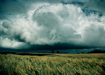 clouds, landscapes, nature, fields - random desktop wallpaper