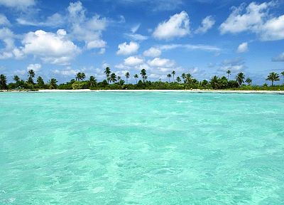 paradise, islands, palm trees - related desktop wallpaper