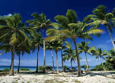 groups, islands, coconut - duplicate desktop wallpaper