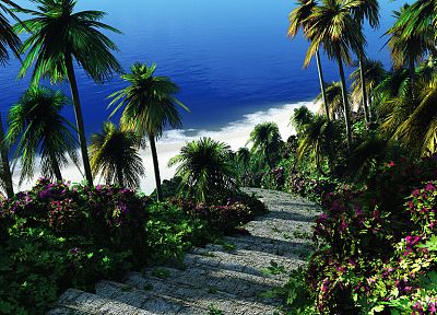 water, paths, stairways, palm trees - random desktop wallpaper