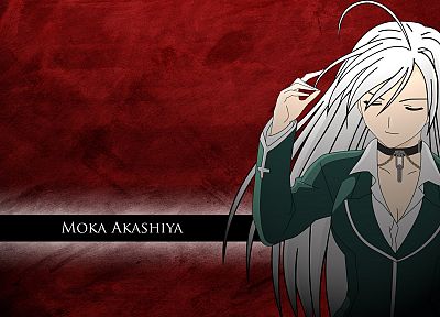 vampires, Akashiya Moka, white hair, Rosario to Vampire - duplicate desktop wallpaper
