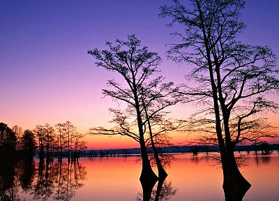 water, sunset, landscapes, nature, trees, dusk - desktop wallpaper