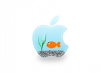 Apple Inc., fish tank - duplicate desktop wallpaper