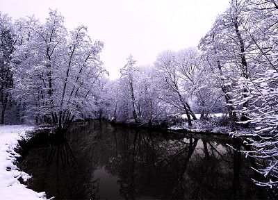 winter, snow, trees - random desktop wallpaper