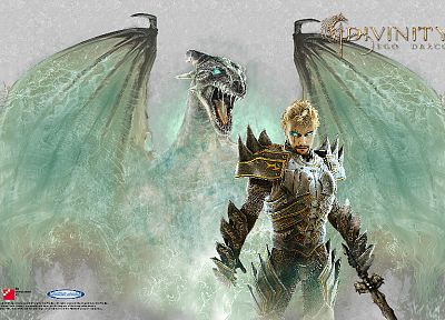 video games, dragons, divinity 2, Divinity - duplicate desktop wallpaper