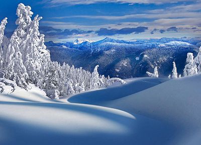 mountains, nature, winter, snow, trees - desktop wallpaper