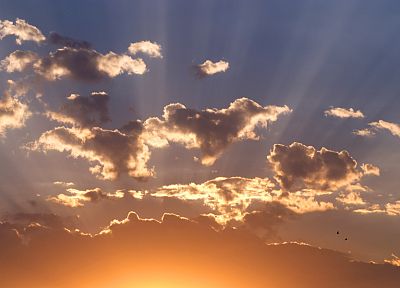 sunset, skyscapes - duplicate desktop wallpaper